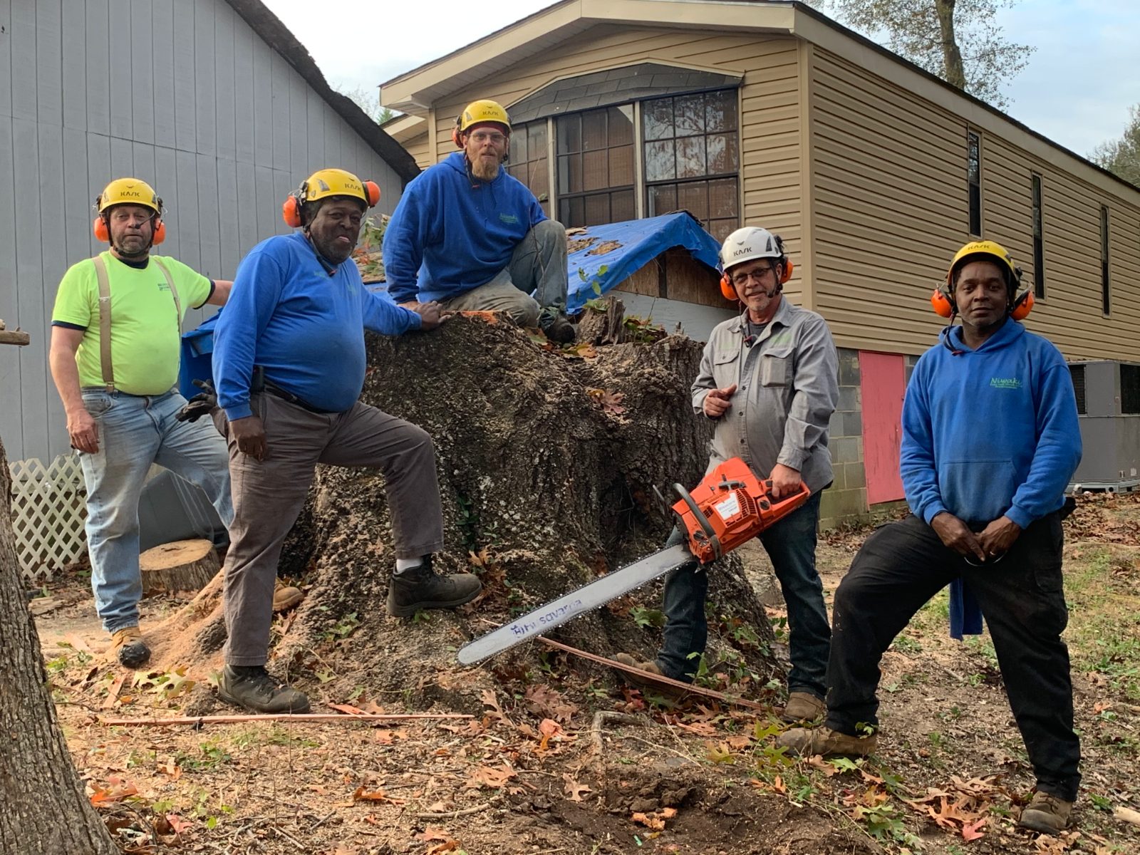 Emergency Tree Removal in Rock Hill, SC