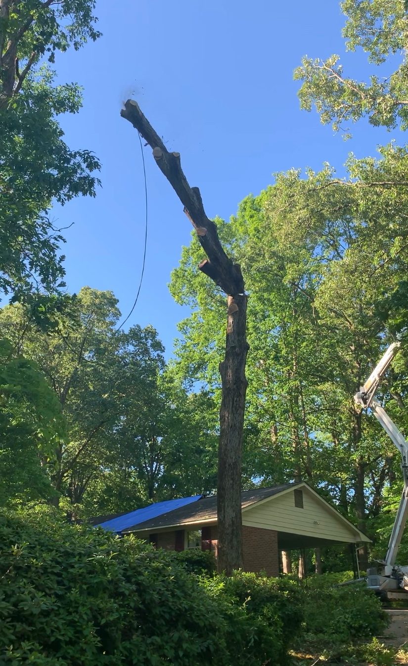 Emergency tree removal Rock Hill SC Emergency Tree Removal