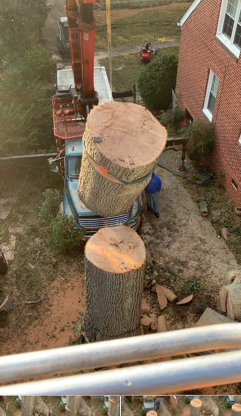 Emergency tree removal Rock Hill SC Emergency Tree Removal